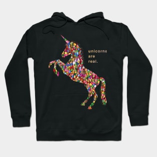 Unicorns are Real Hoodie